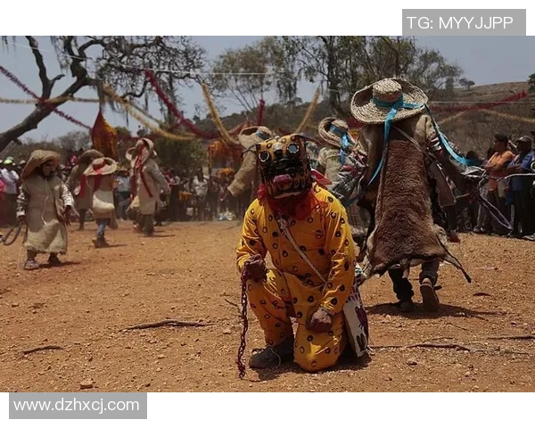 墨西哥老虎与美洲狮的生存之战谁能称霸野生动物界